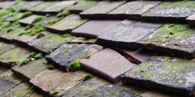 Elmstead Woods roof repair costs